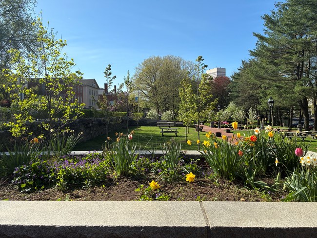 ROWI spring Group of flowers in raised garden bed with park grounds in background