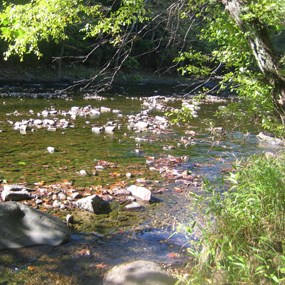 close up of a rocky river bottom