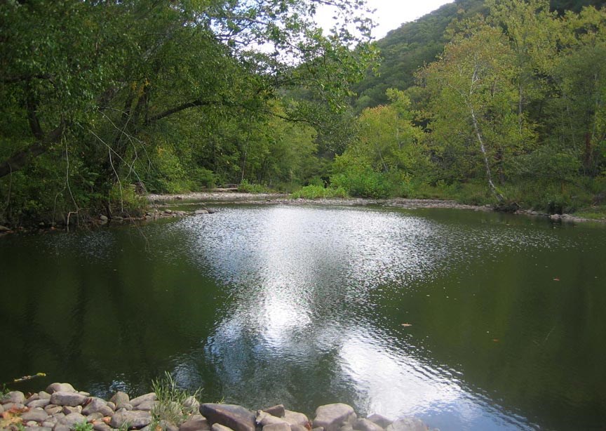 river flowing through forest