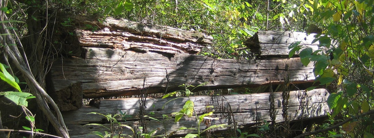 ruins of an old cabin