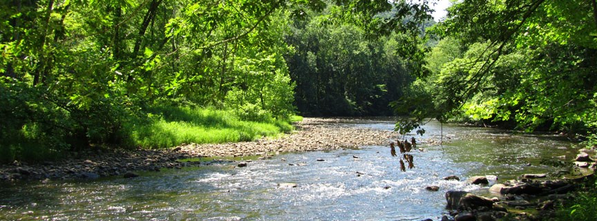 Bluestone River Bluestone River