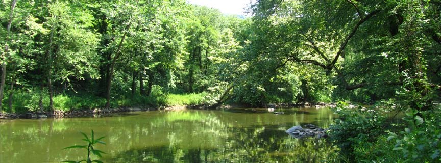 Bluestone River