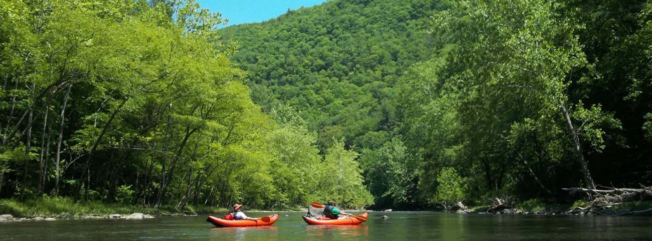 kayakers