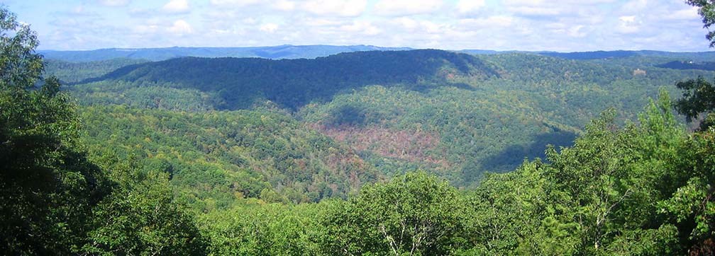a deep, forested gorge and distant mountains