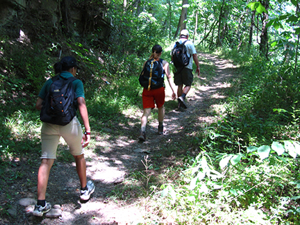 Hikers on a forest trail Hikers on a forest trail