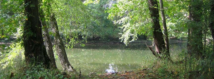 Bluestone River Bluestone River