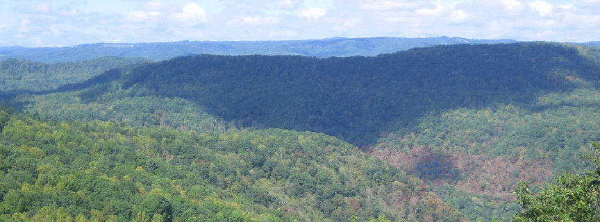 Bluestone Gorge