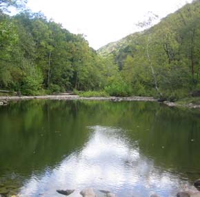 river and forest river and forest