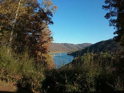 view of lake through trees