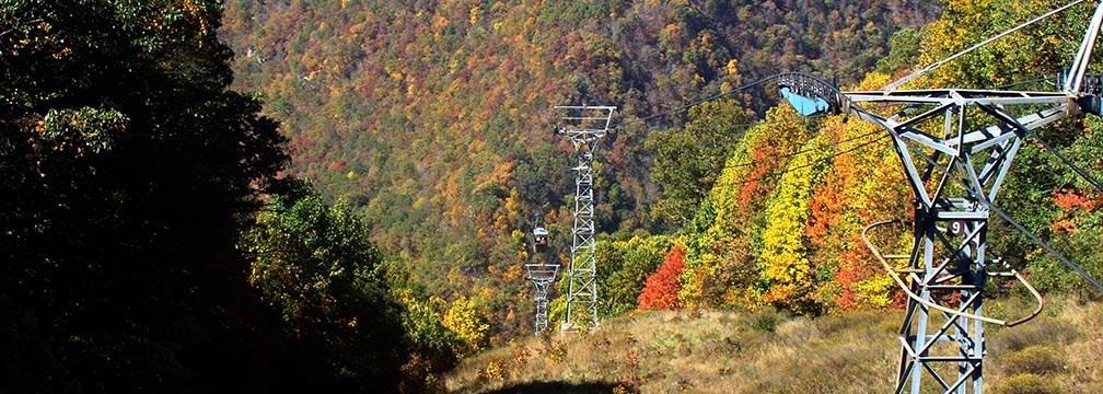 aerial tram going down mountain with fall colors