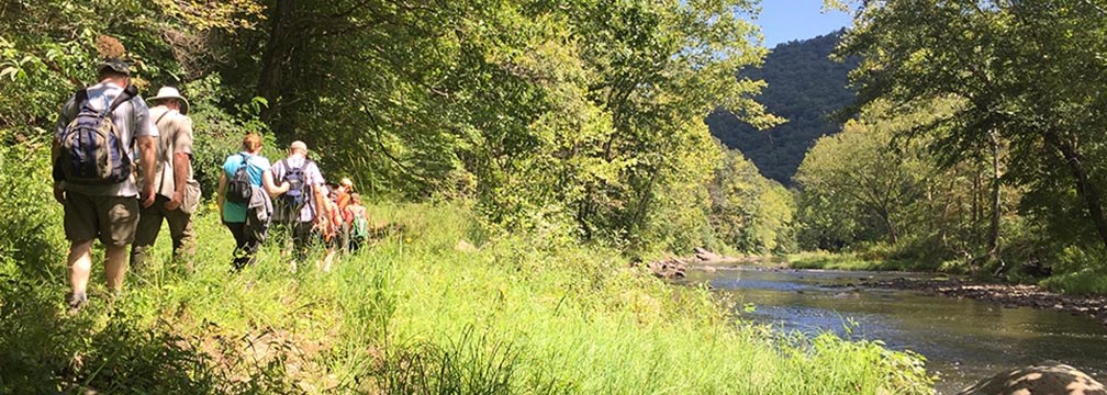 hikers alongside river