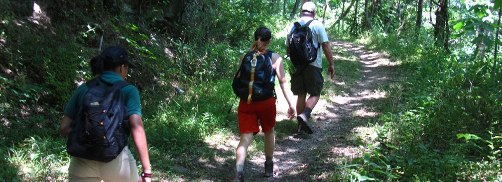 hikers on the trail
