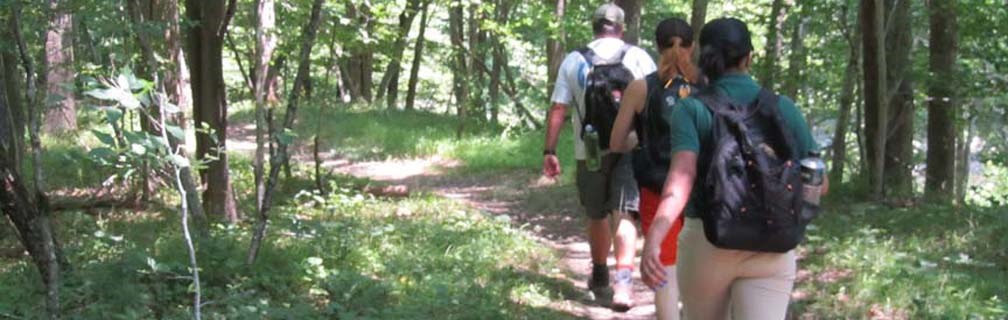 hikers on the trail hikers on the trail