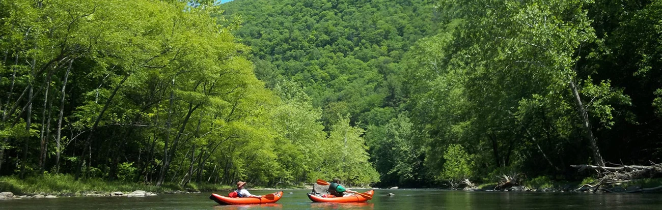 Kayakers on the river