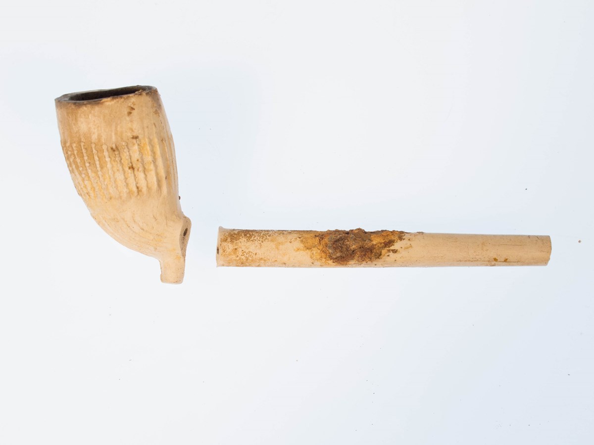 Clay pipe White Clay pipe