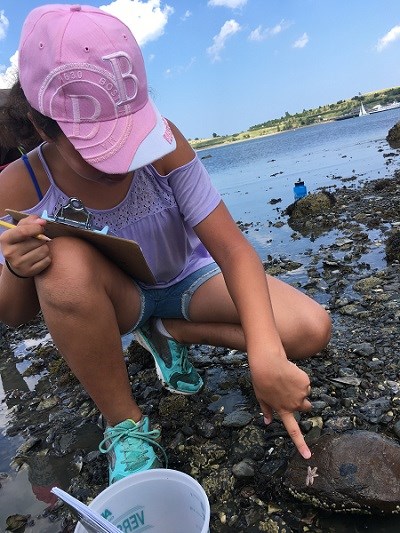 Girl on shoreline crouching with a clipboard and pointing at a small starfish.