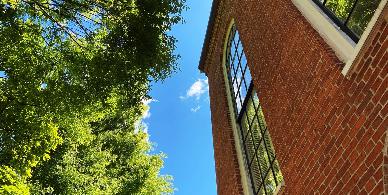 View of sky with blooming tree to the left and a tall brick building rising to the right.