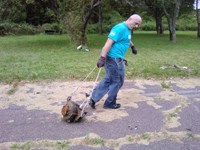 A volunteer drags an extremely heavy item to the dumpster.