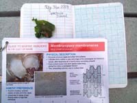 Field notes and a sample. Field notes and a sample.