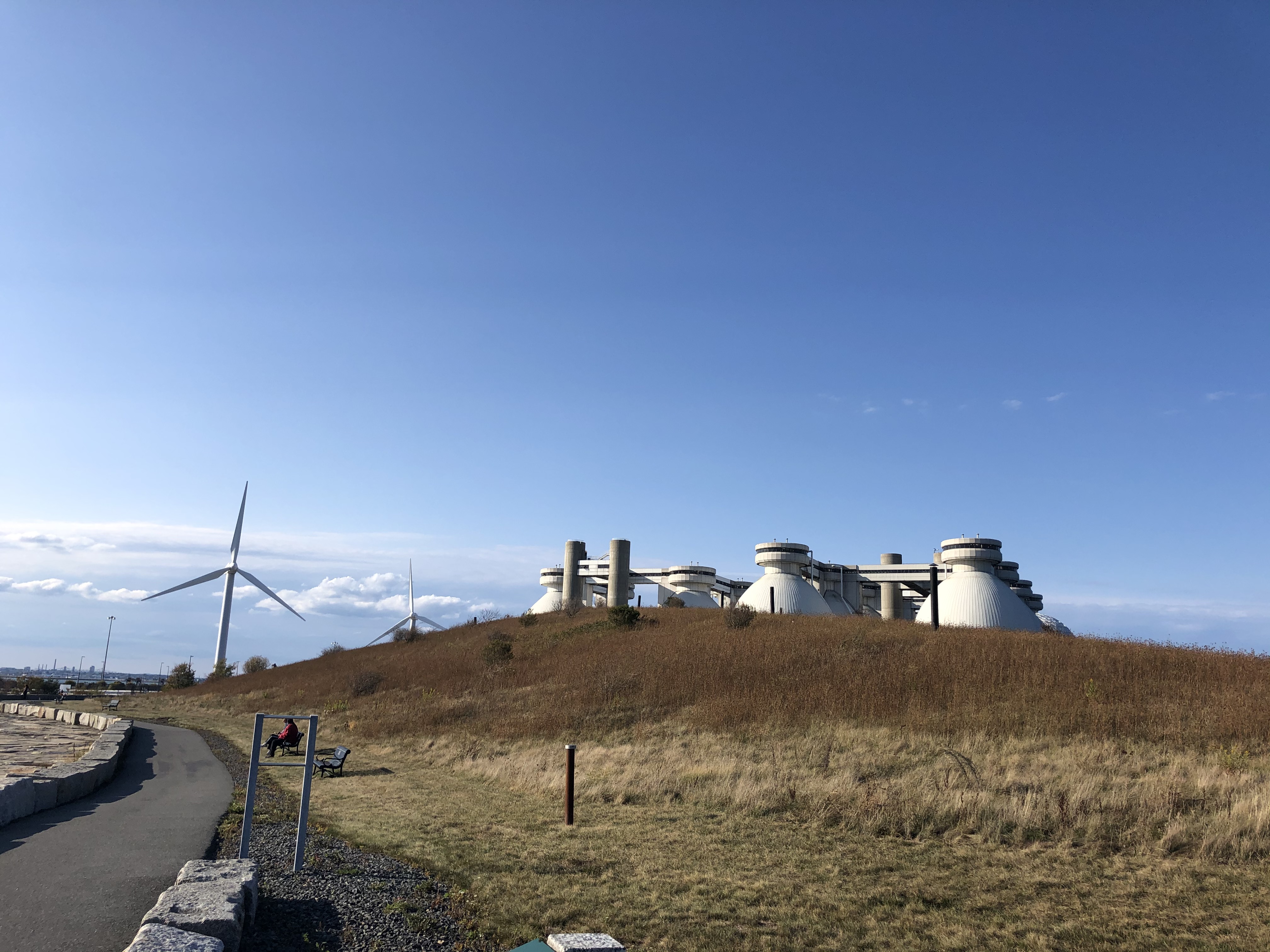 Deer_Island_Eggs_Turbine_2020-Yates.JPG?