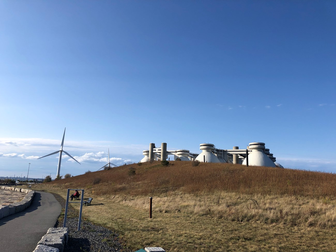 hill with tall grass and egg-shaped water turbines peaking out behind the hill