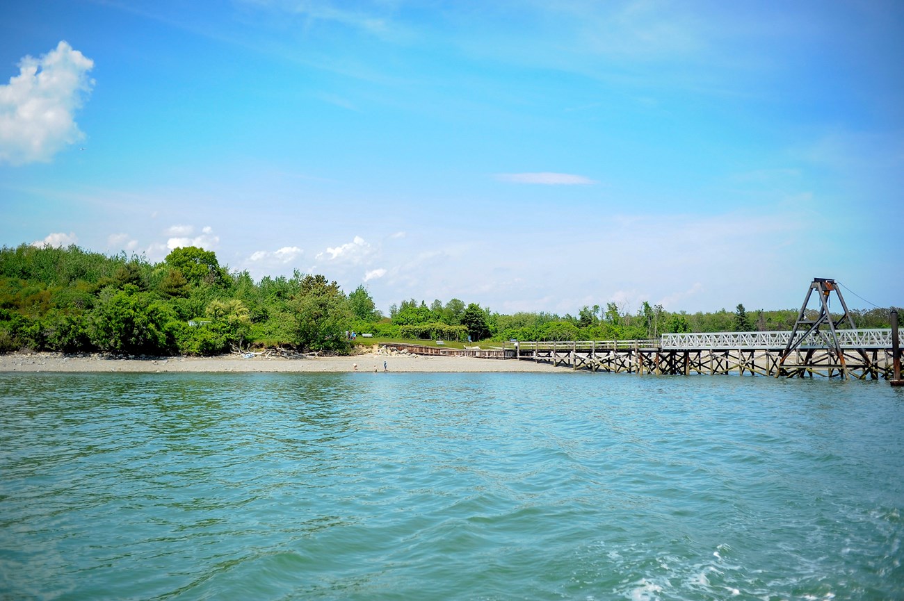 view of a densely vegetated island and dock