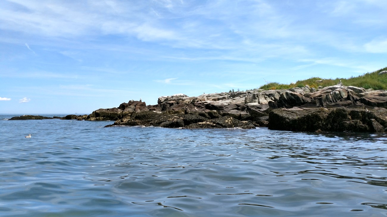 rocky island with a little green shrubbery