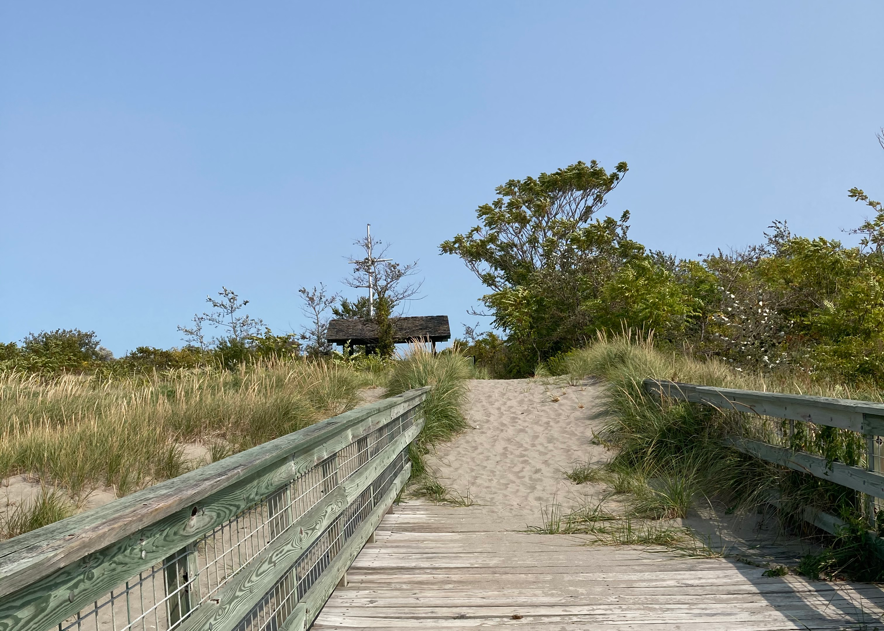 wooden dock leads to a sandy path with tall grass on either side and shrubs in the background.