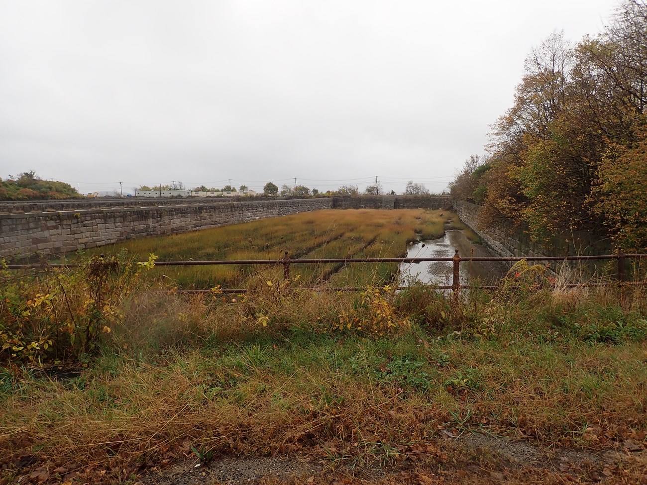 rectangular lot filled with long grass and water, separated by rail fencing on one side and stone walls on the three others.