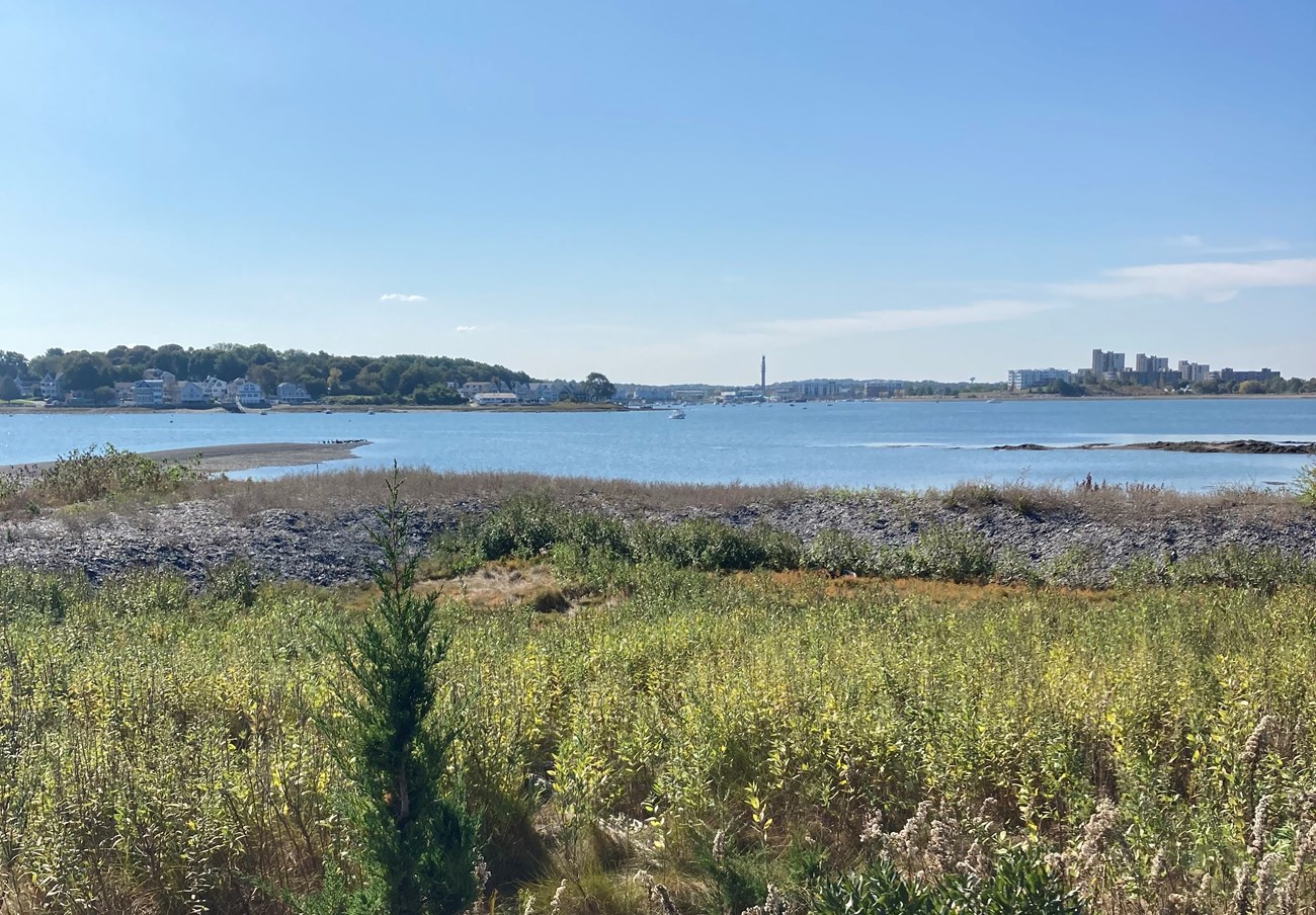 small, relatively flat island with low brush looks out towards opposite coastlines dotted with buildings and houses.