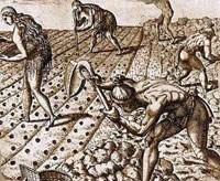 Colonial image of Praying Indians farming