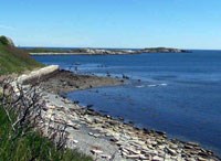 Failed seawall on Great Brewster; quarries produced ballast and stone for seawalls