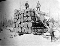 Timberstacks