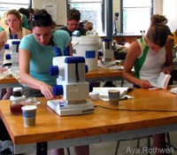 BOHA Centennial bioblitz sampling