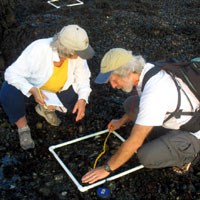 BOHA Centennial bioblitz lab