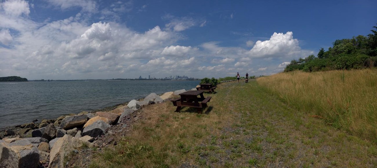 Picnic tables line the rocky edge of a grassy area that meets the ocean. Blue sky with puffy clouds.