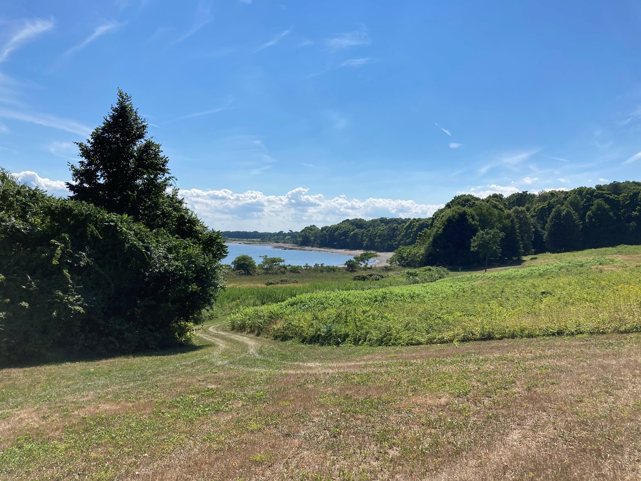 field in foreground, forest and coastline in the background