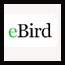 ebird icon