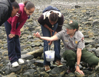 A park education ranger explores the intertidal zone with students.