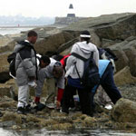 Students Studying the Intertidal Zone