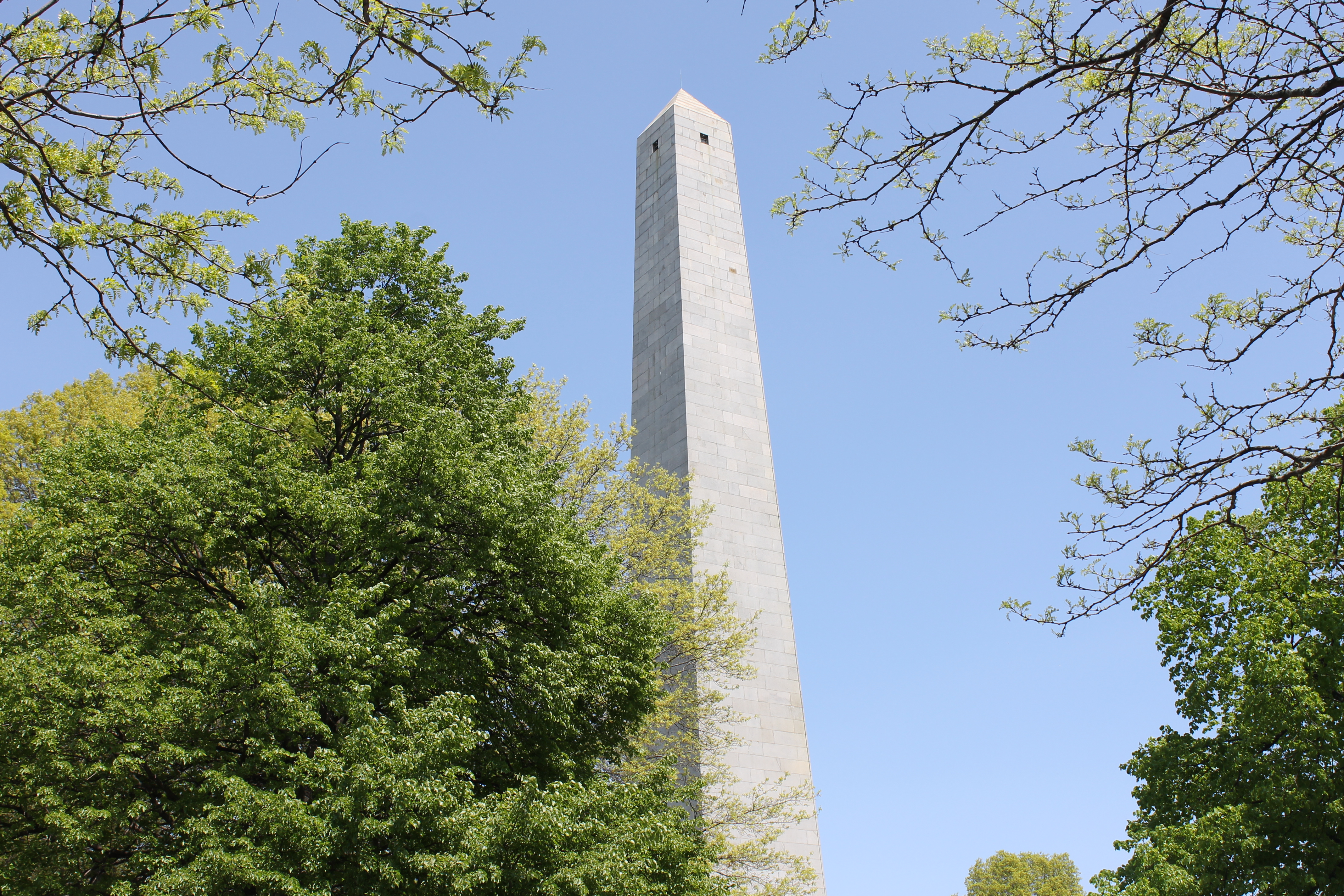 Bunker Hill Monument surrounded by trees.