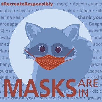 a cartoon raccoon wearing a face mask