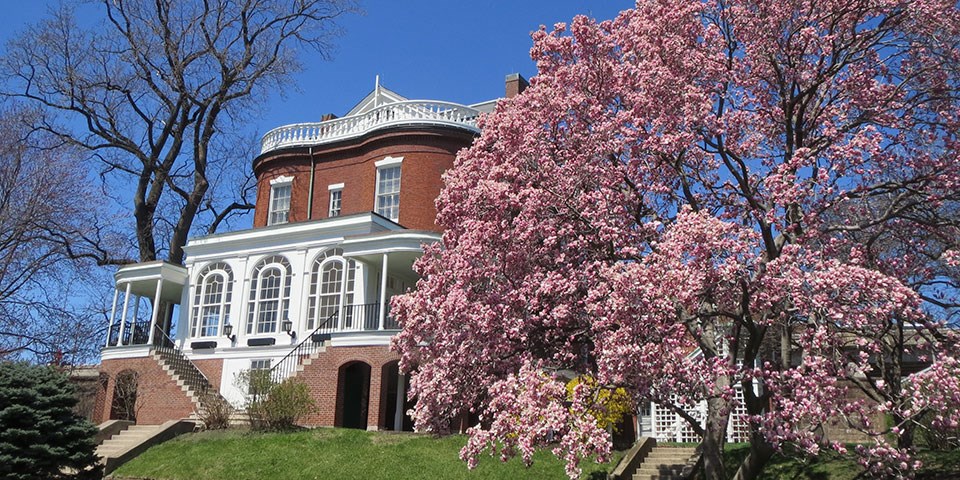 Photograph of the Commandant's House with a tree with pink blossoms in foreground.