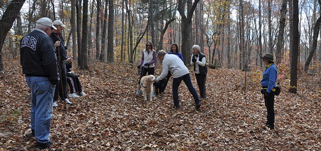 A group of visitors watch as a person pets a white dog on a leash.