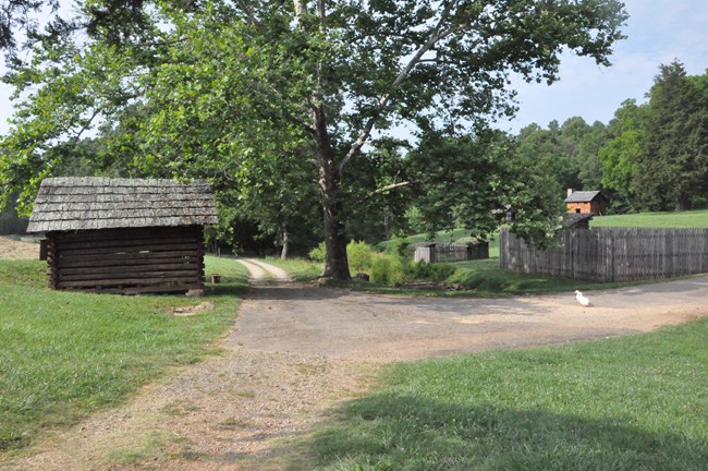 View of plantation where Booker T. Washington was born