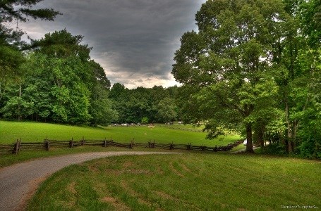 Juneteenth 2011 picture by Cameron Sumpter