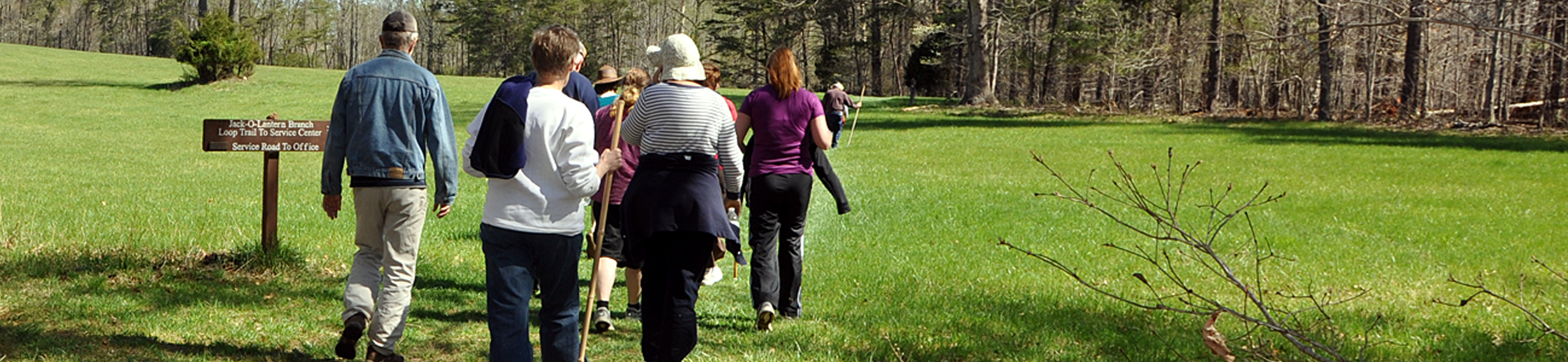 A group of hikers walking along a forested area and open meadow.
