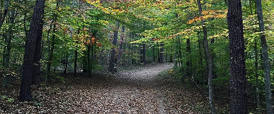 The Jack-O-Lantern Branch Heritage takes you through a scenic, wooded area.