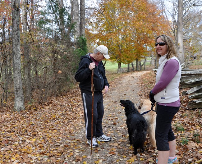 A man with a hiking stick is seen viewing a light tan dog and a black dog on leashes that a woman is leading along the trail.