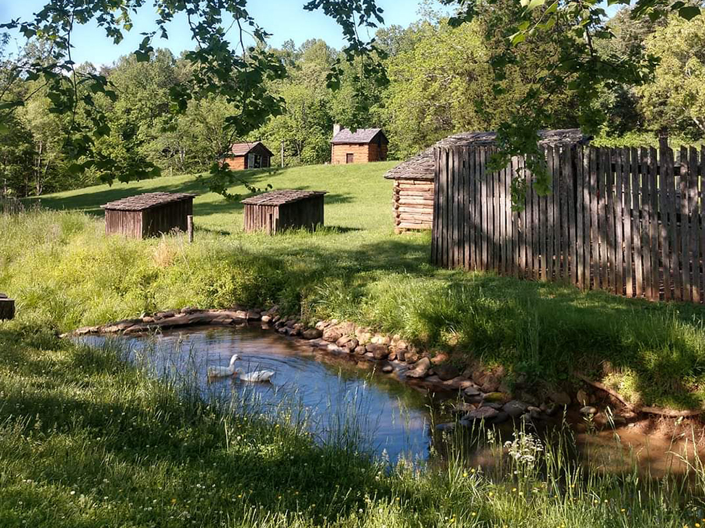 A rustic scene with ducks swimming in the foreground and roughhewn cabins in the distance.  and